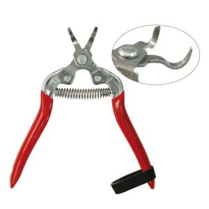 Forbice vendemmia 16 cm lama curva AXEL