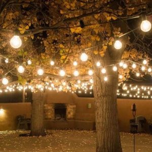 party lights