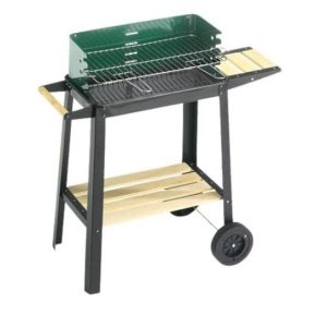 Barbecue Carbone griglia acciaio cromato 50-25 Green/w 50x25x77 cm